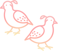 concept / うずらのコンセプト