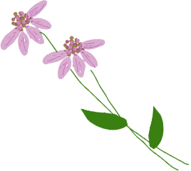 うずらオフィシャルサイト