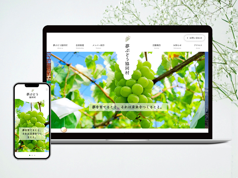 夢ぶどう協同村